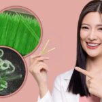 11 Fakta Exclusive tentang Fried Toothpicks Trend di Korea Selatan