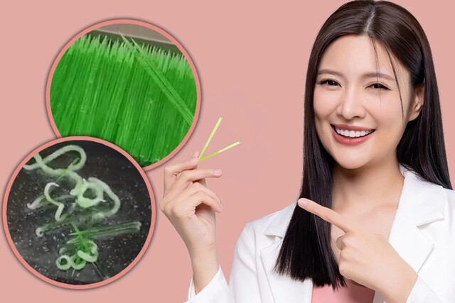 11 Fakta Exclusive tentang Fried Toothpicks Trend di Korea Selatan