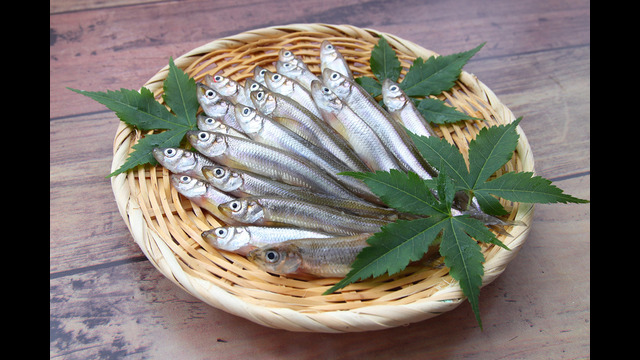 5 Manfaat Exclusive Meningkatkan Umur Dengan Ikan Kecil