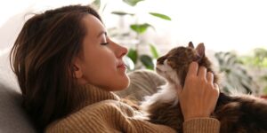 pelihara kucing bikin otak rileks