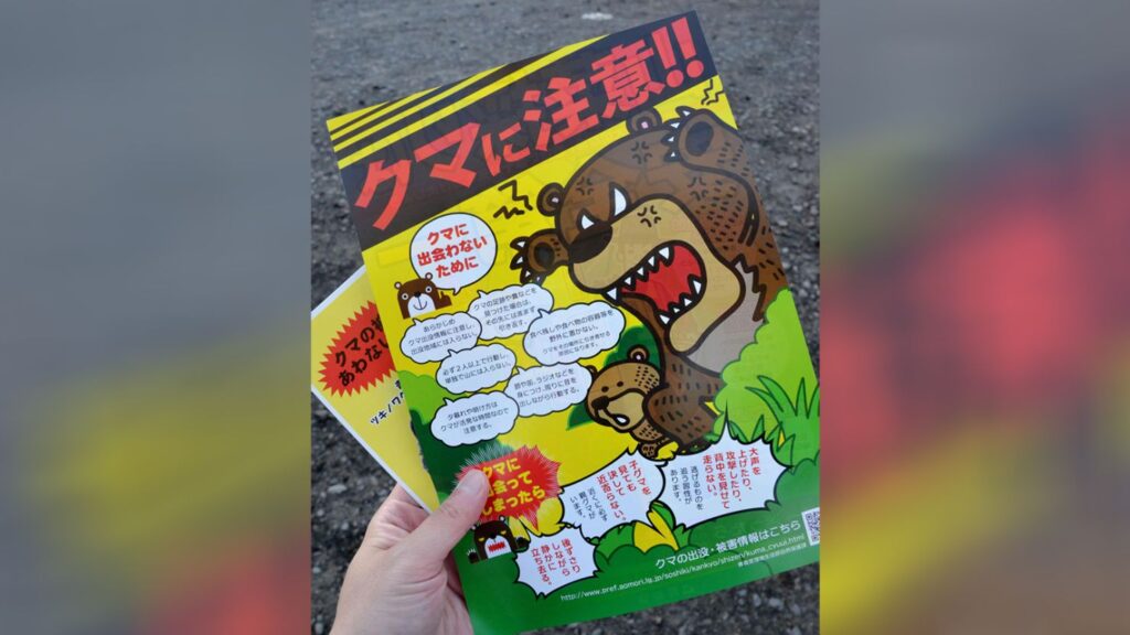 8 Kasus Fatal Serangan Beruang di Jepang: Kakek Tewas Saat Petik Jamur di Iwate