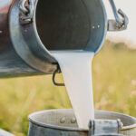 7 Fakta Exclusive Bahaya Susu Mentah yang Viral: Mengapa Raw Milk Bisa Risiko Kesehatan